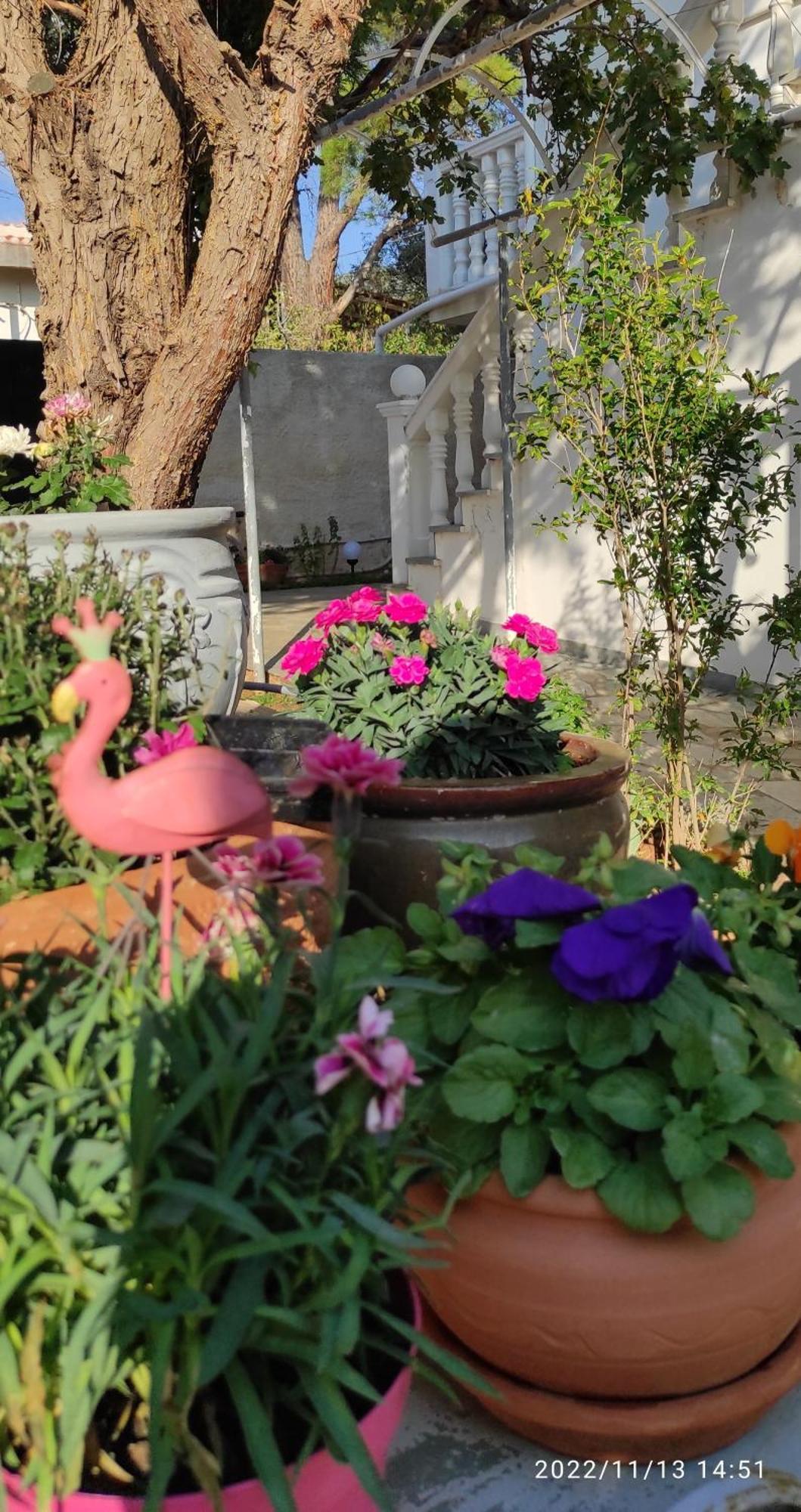 Secret Garden Home Lagonissi Attiki Melissourgoú Dış mekan fotoğraf
