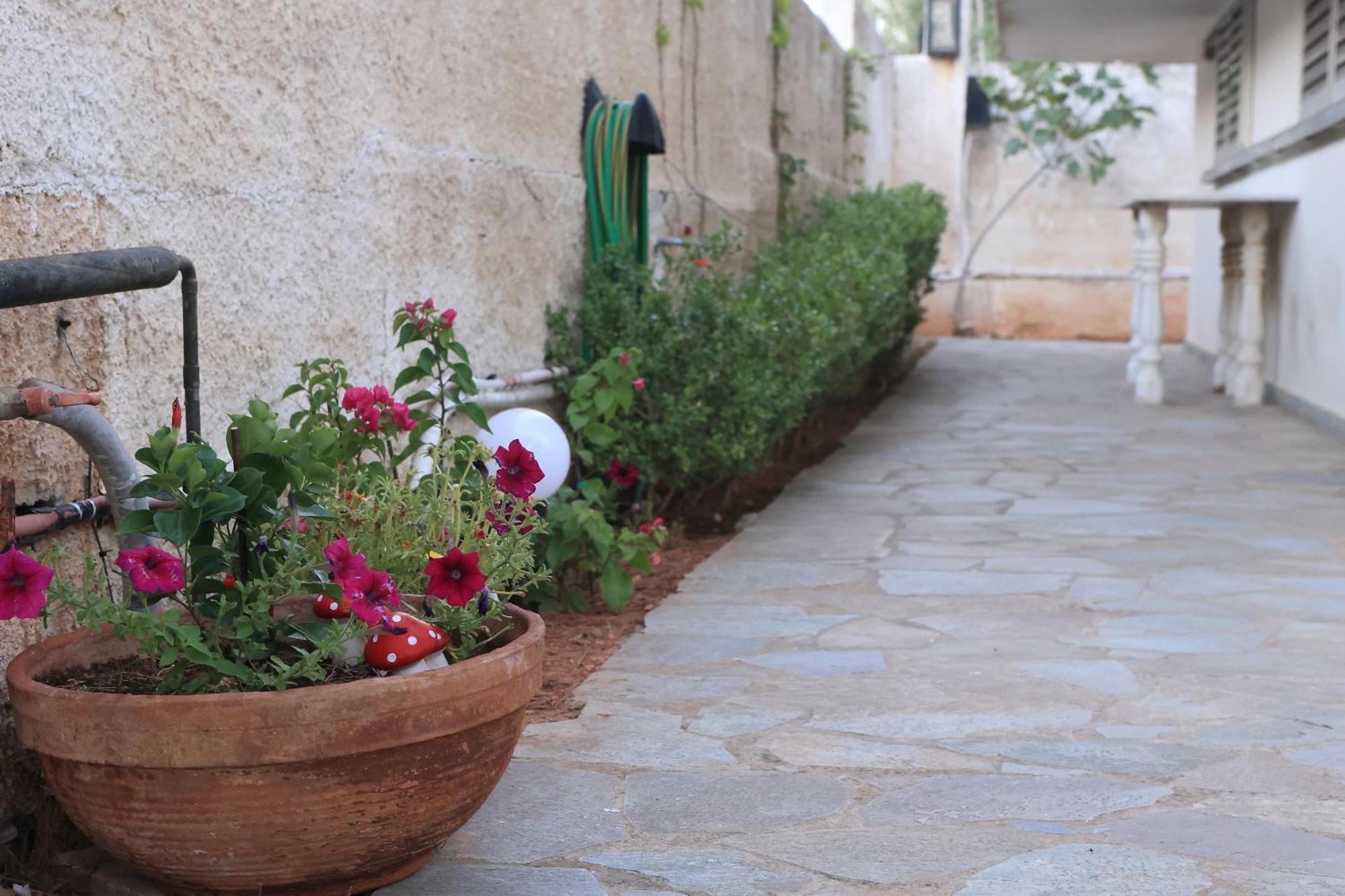 Secret Garden Home Lagonissi Attiki Melissourgoú Dış mekan fotoğraf