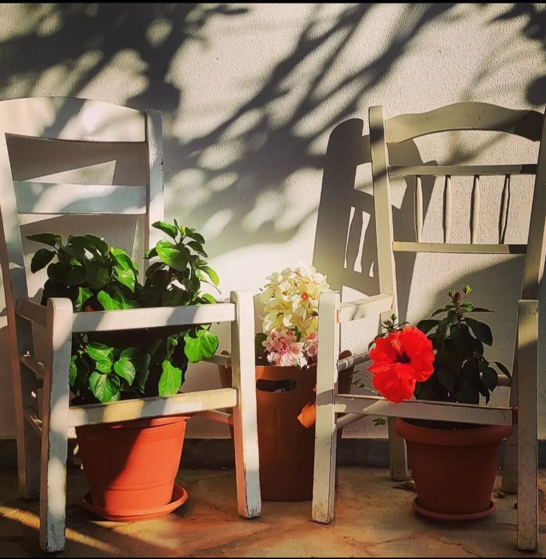 Secret Garden Home Lagonissi Attiki Melissourgoú Dış mekan fotoğraf