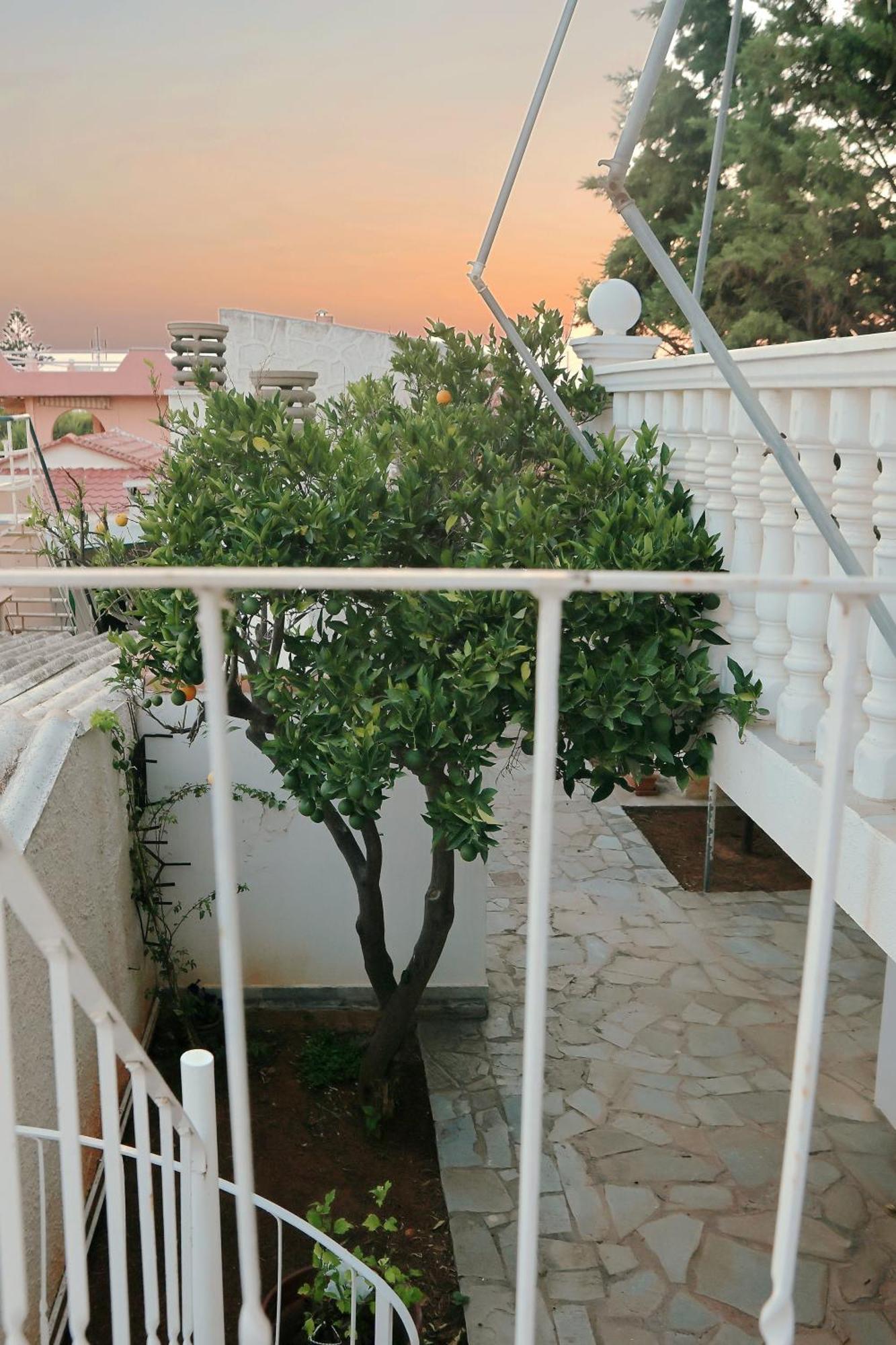 Secret Garden Home Lagonissi Attiki Melissourgoú Dış mekan fotoğraf